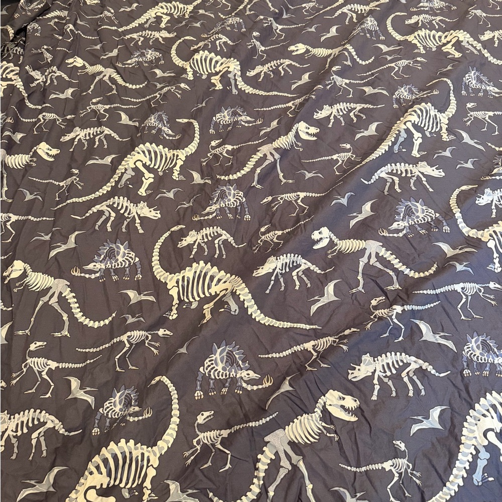Pottery Barn Kids Dinosaur Skeleton Glow-in-the-Dark Duvet Cover (F/Q) and Sham